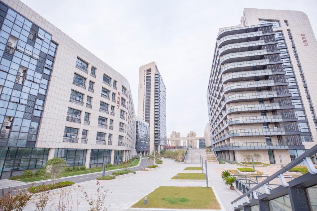 ������APP - רҵ����������ֱ��ƽ̨