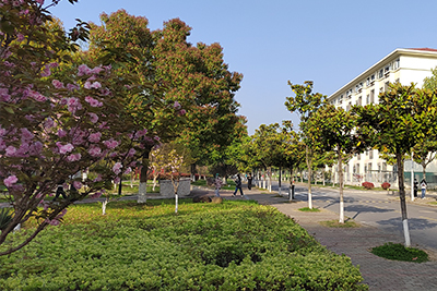 ������APP - רҵ����������ֱ��ƽ̨