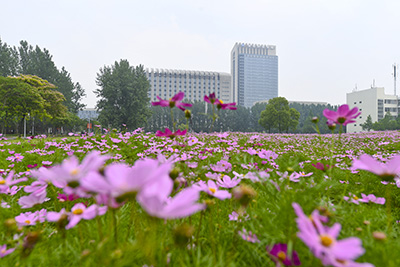 ������APP - רҵ����������ֱ��ƽ̨