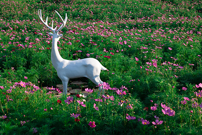 ������APP - רҵ����������ֱ��ƽ̨