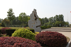 ������APP - רҵ����������ֱ��ƽ̨