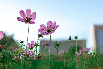 ������APP - רҵ����������ֱ��ƽ̨