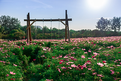 ������APP - רҵ����������ֱ��ƽ̨